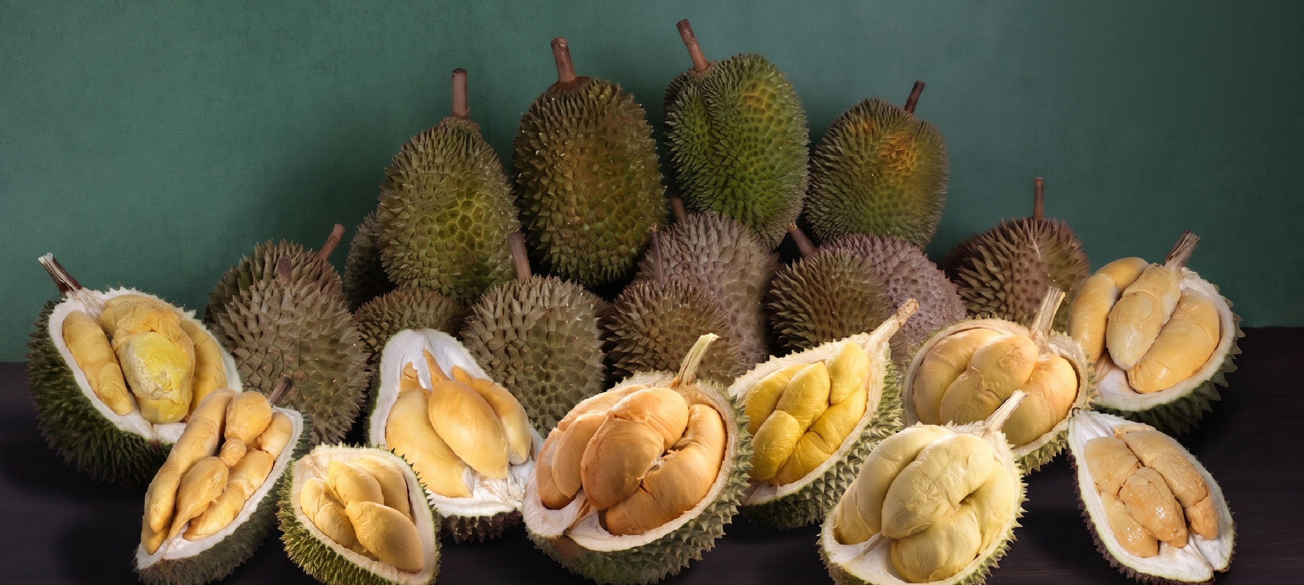 Malaysian Durian Festival 2026