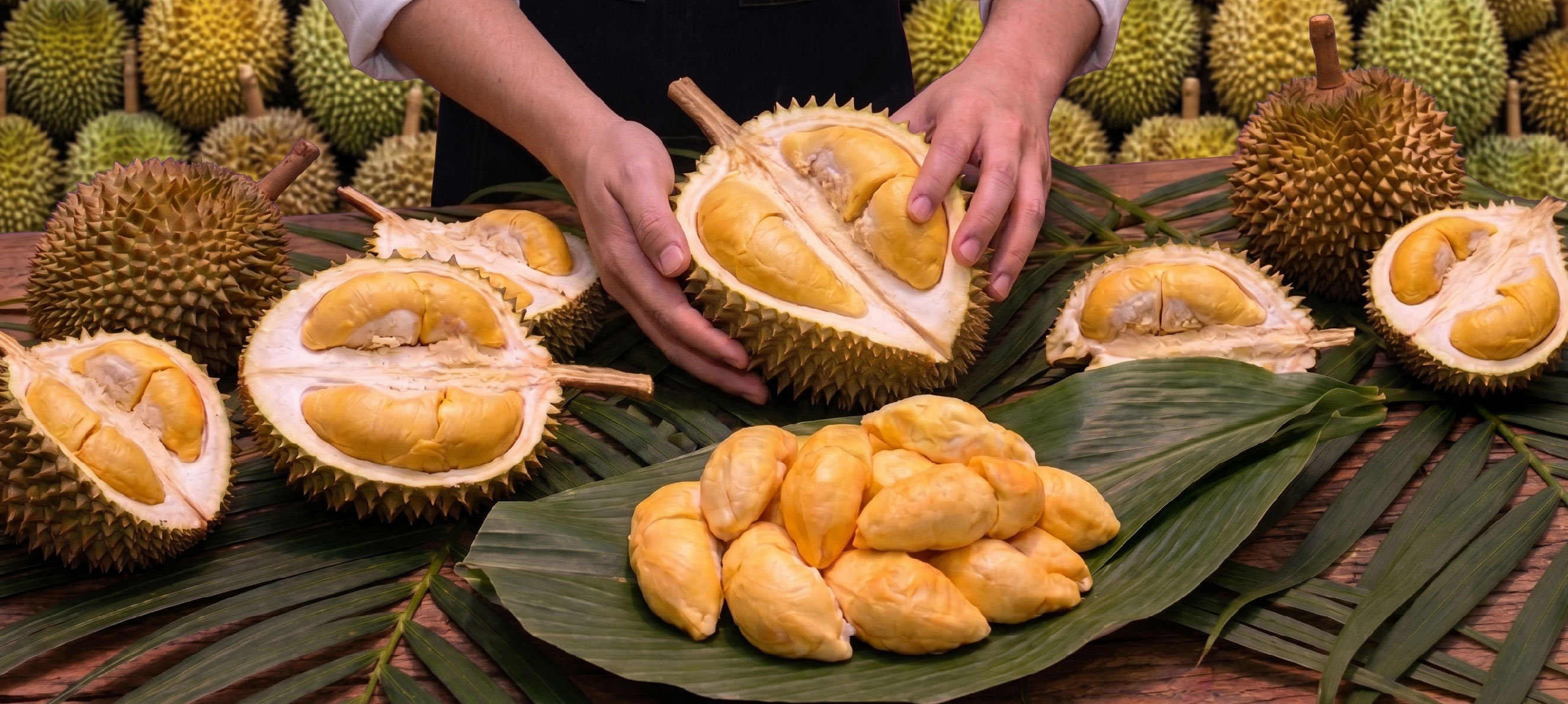 Malaysian Durian Festival 2026