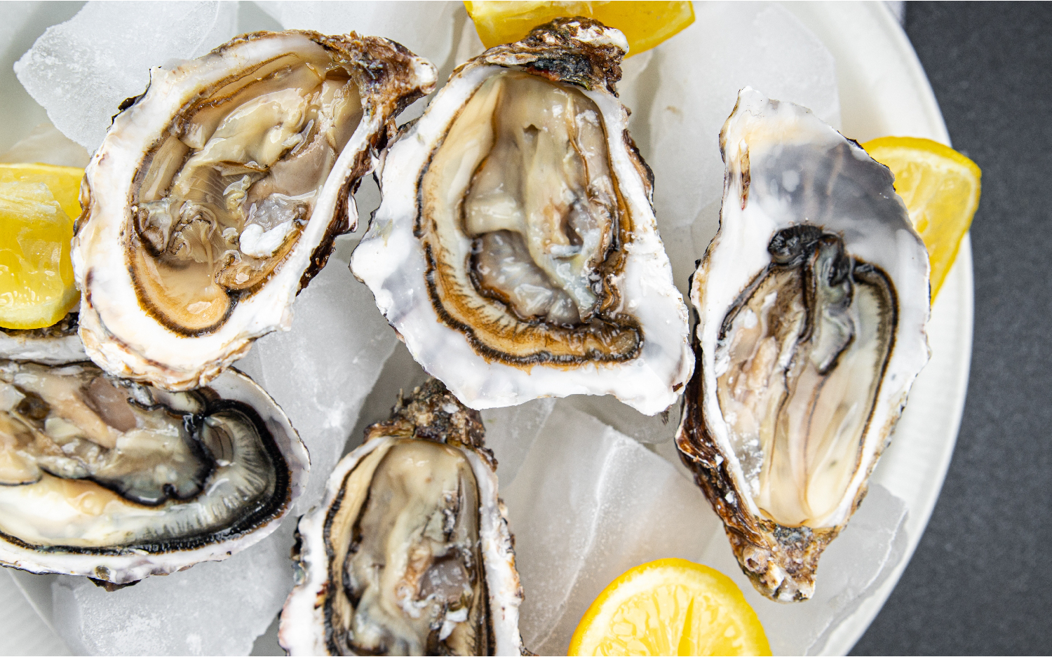 Semi-Buffet - Oyster Selection