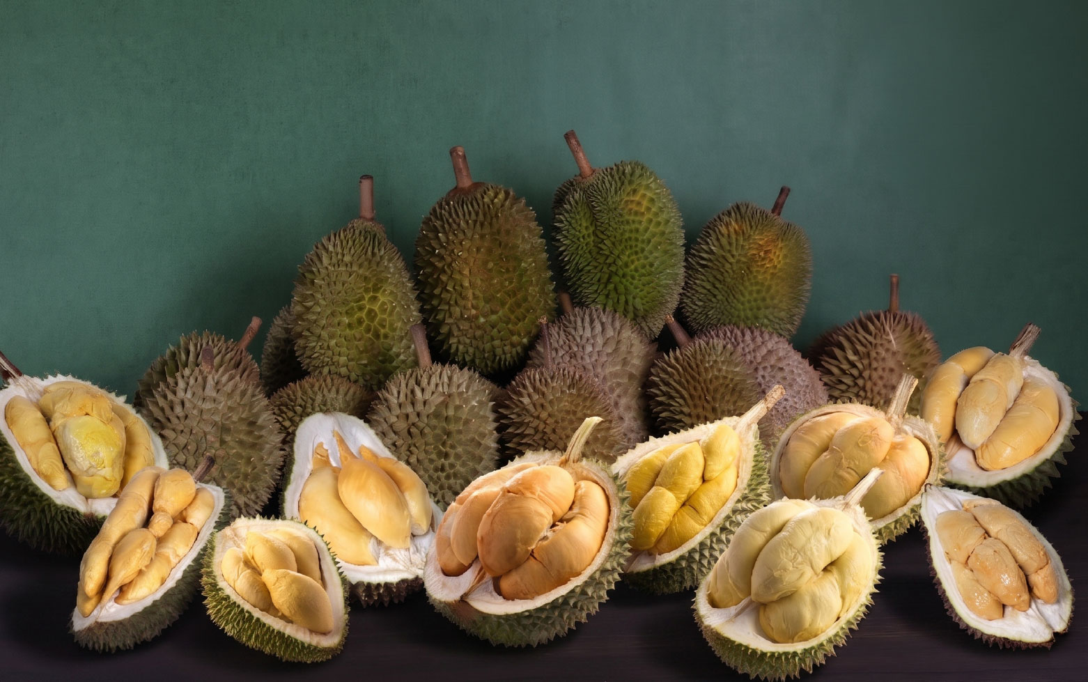 Malaysian Durian Festival 2026