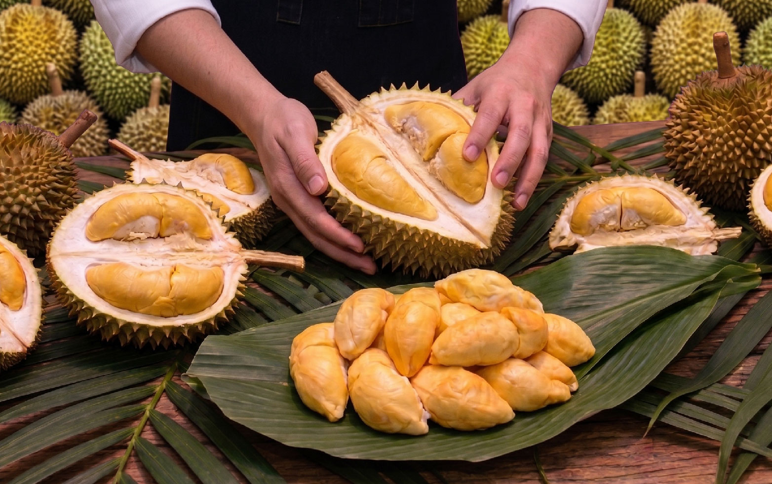 Malaysian Durian Festival 2024