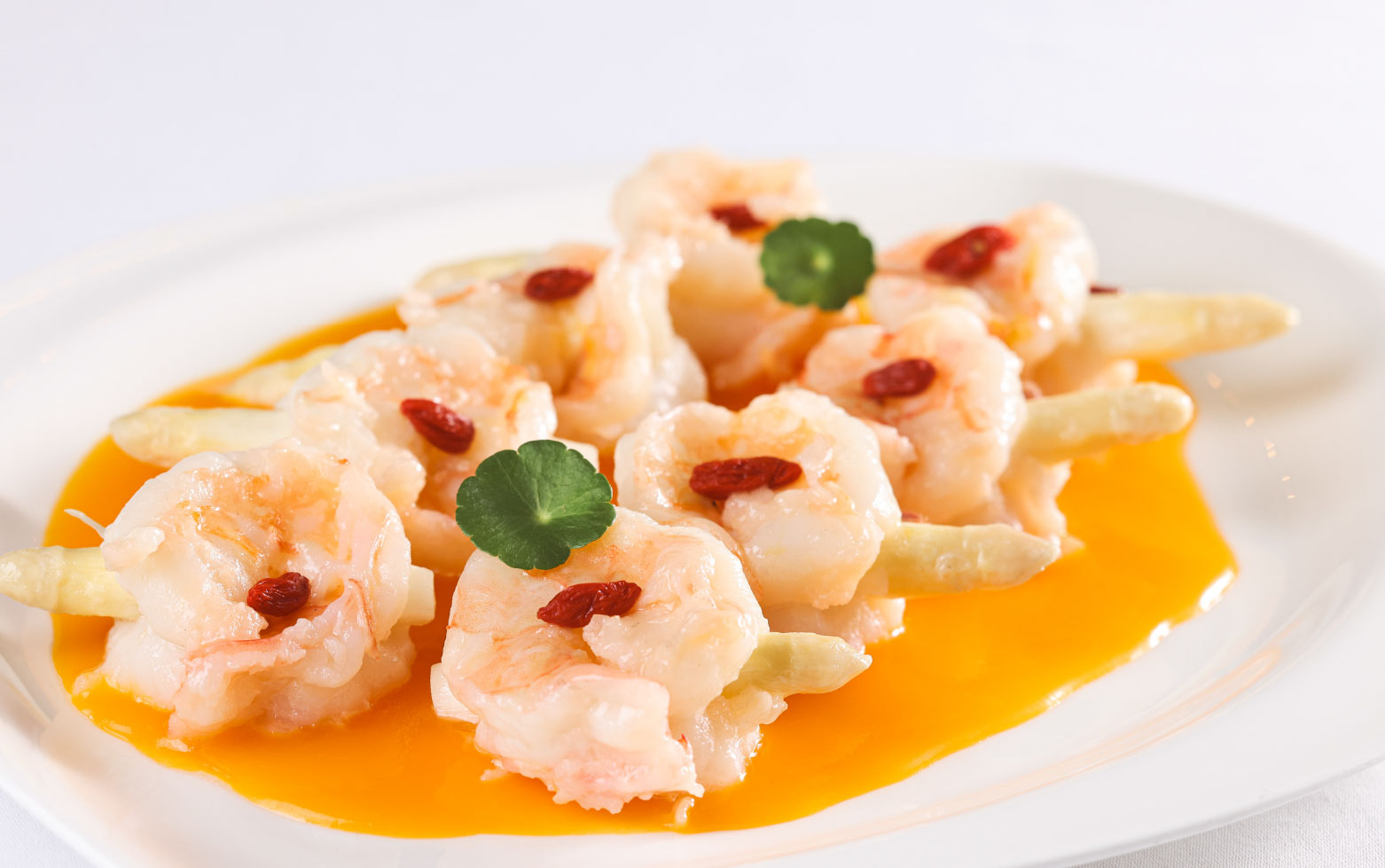 Spring Specials at Above & Beyond